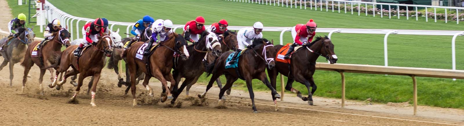 Welcome to Florida Equine Veterinary Associates Welcome to Florida Equine Veterinary Associates