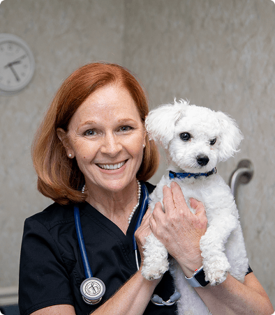 dog with woman dog with woman