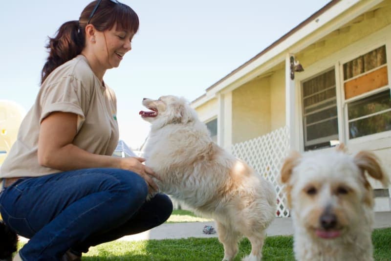 What is Medical Pet Boarding? What is Medical Pet Boarding?