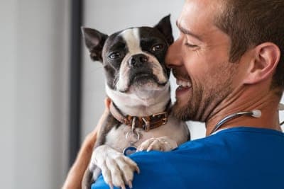 Thyroid Hormone Testing in Dogs Thyroid Hormone Testing in Dogs