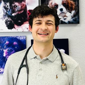 Dr. Kyle CacciatoreDVM, Cardiology Intern Dr. Kyle CacciatoreDVM, Cardiology Intern