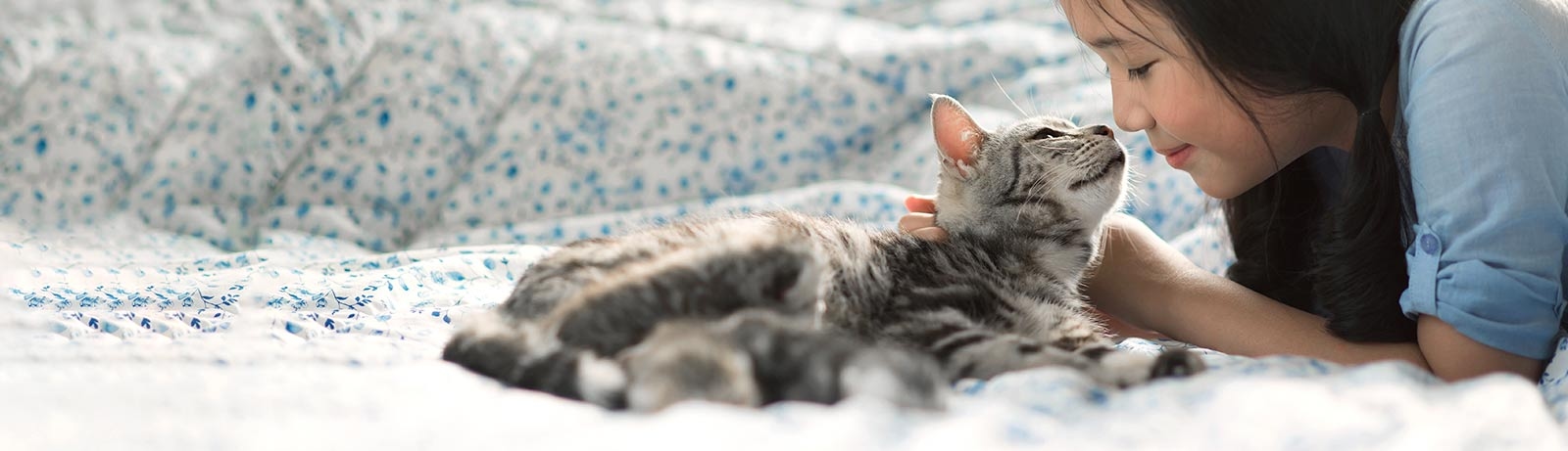 The Beacon Veterinary Associates The Beacon Veterinary Associates