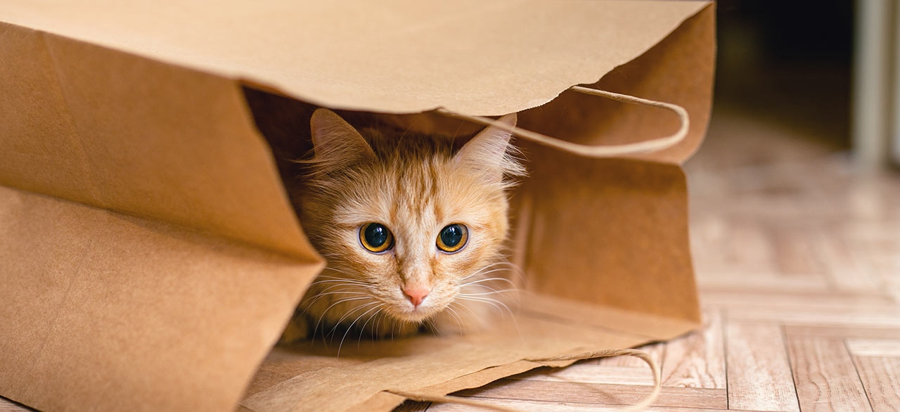 Welcome to Bel Marin Animal Hospital in Novato Welcome to Bel Marin Animal Hospital in Novato