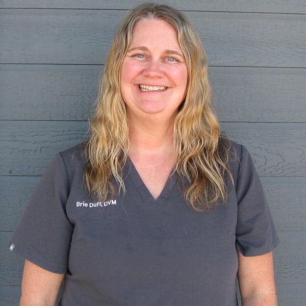 Dr. Brie Duff Dr. Brie Duff