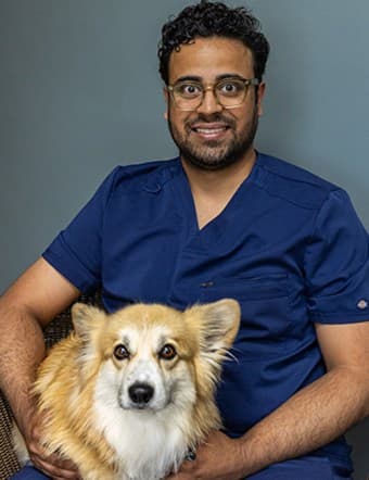 Dr. Tauseef Shah Dr. Tauseef Shah