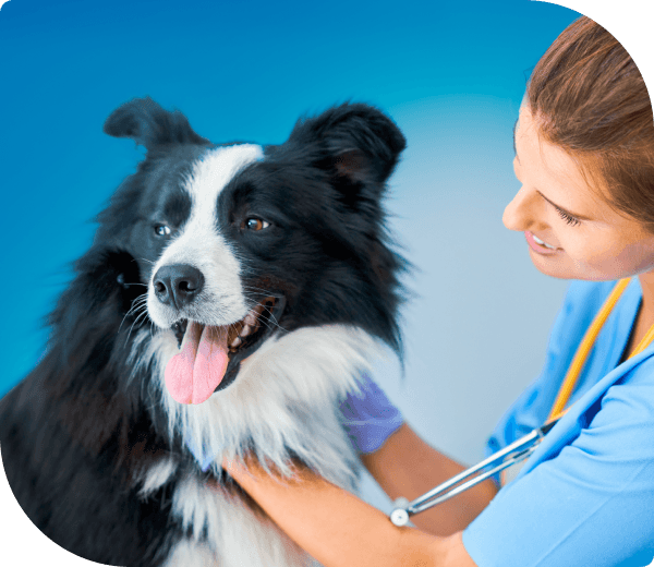 Frame 1321315204 Frame 1321315204