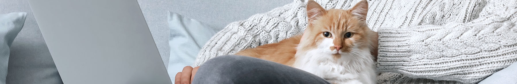 thomasville-veterinary-hospital-banner-3 thomasville-veterinary-hospital-banner-3