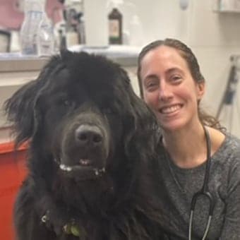 Dr. Victoria Wellington Dr. Victoria Wellington