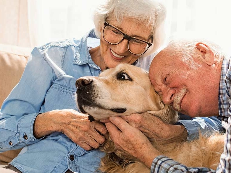 Community Veterinary Clinic About Us Hero Image Community Veterinary Clinic About Us Hero Image