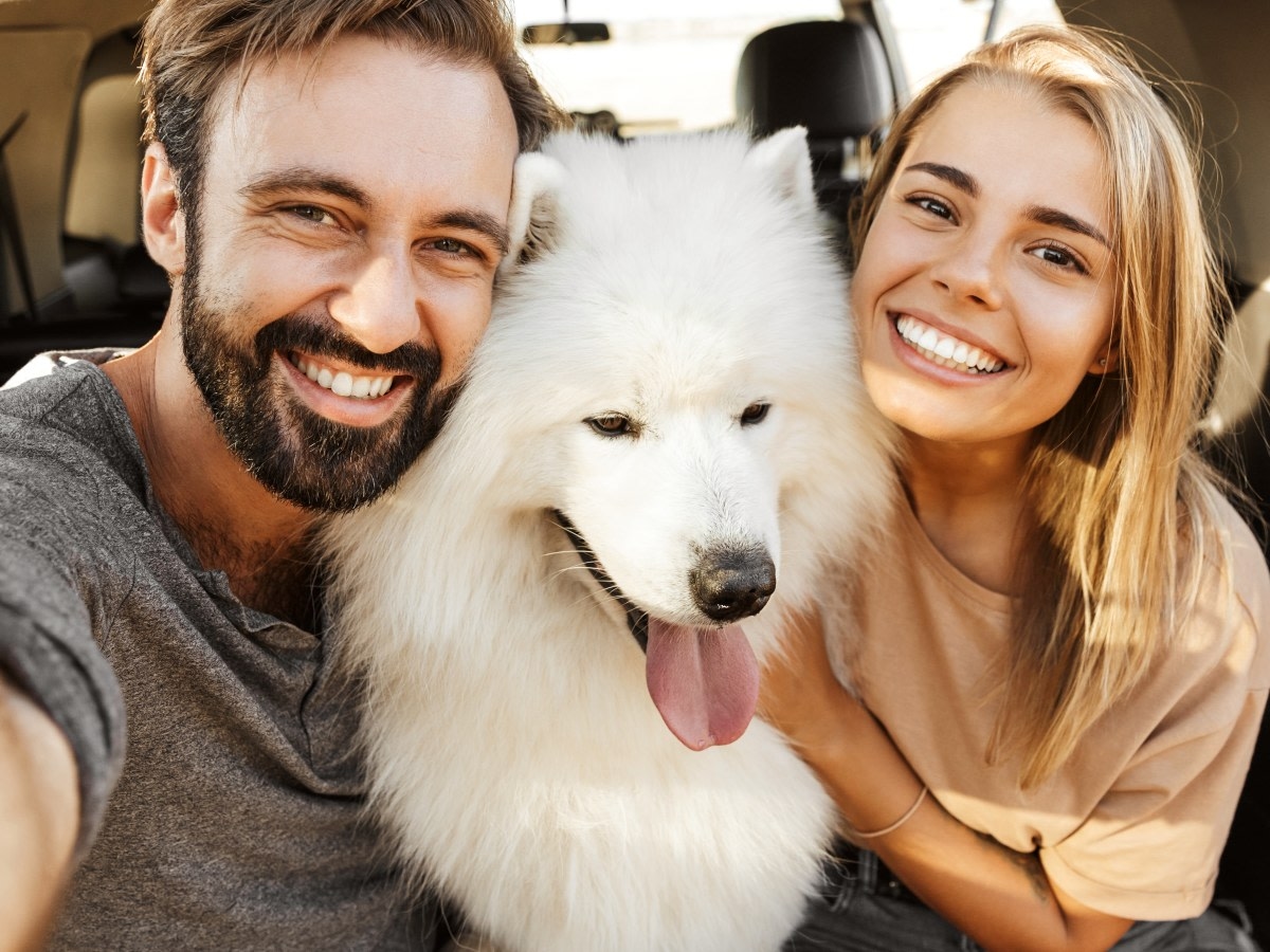 Wellesley-Natick Veterinary Hospital Hero Image Wellesley-Natick Veterinary Hospital Hero Image