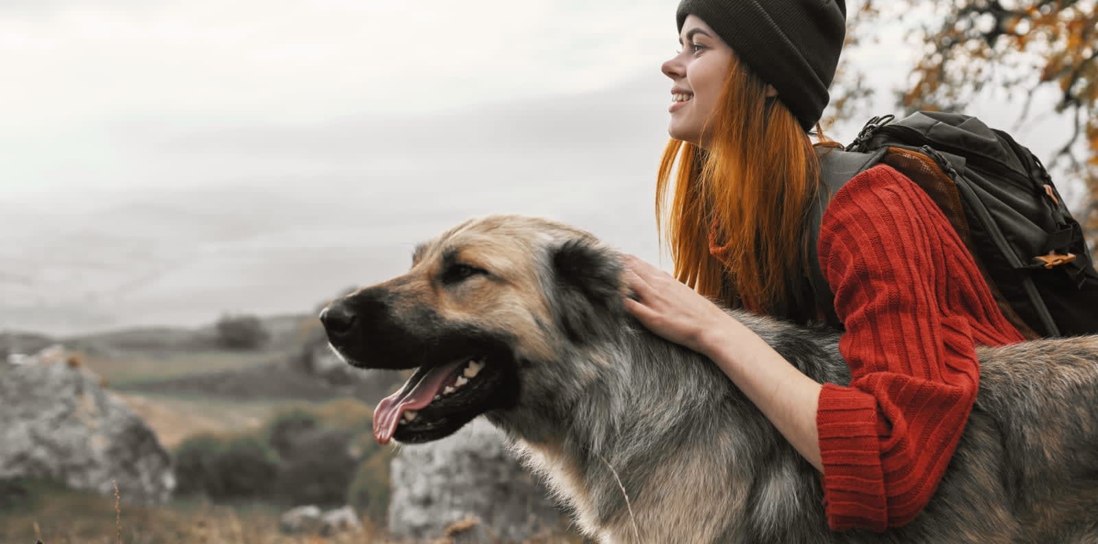 Welcome to Bear Creek Veterinary Hospital in Stockton Hero Image Welcome to Bear Creek Veterinary Hospital in Stockton Hero Image