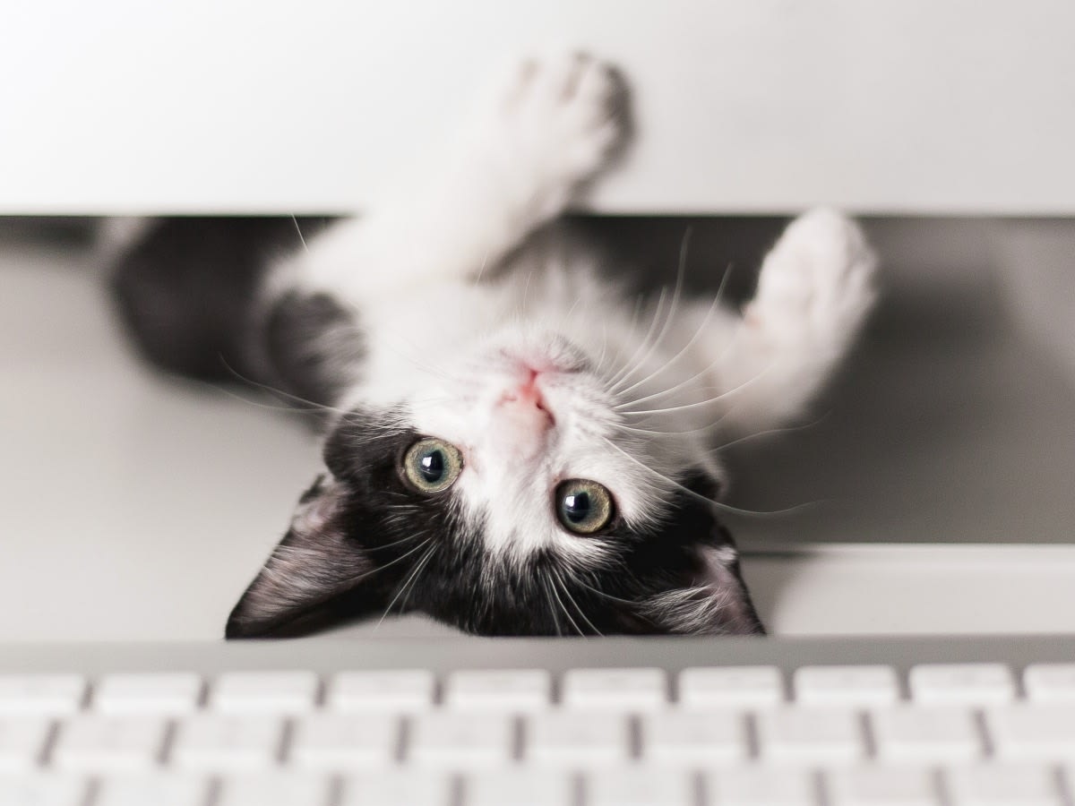 Tri-County Animal Clinic Hero Image Tri-County Animal Clinic Hero Image