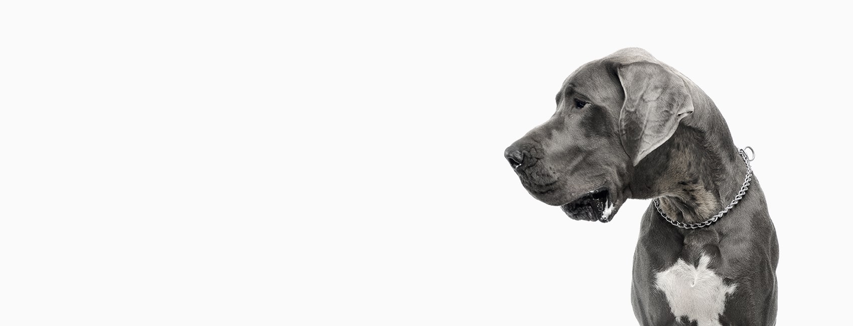 Little Miami Veterinary Services Hero Image Little Miami Veterinary Services Hero Image